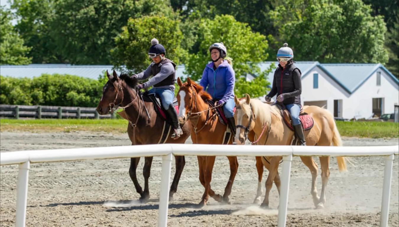 Coinin, Alcina Rawles, Fair Hill TRaining Center, Pastured Place, Aftercare, Meadow Spring Farm, Thoroughbred Makeover, horse racing, America's Best Racing, ABR